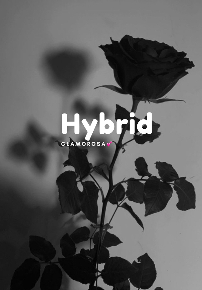 Hybrid