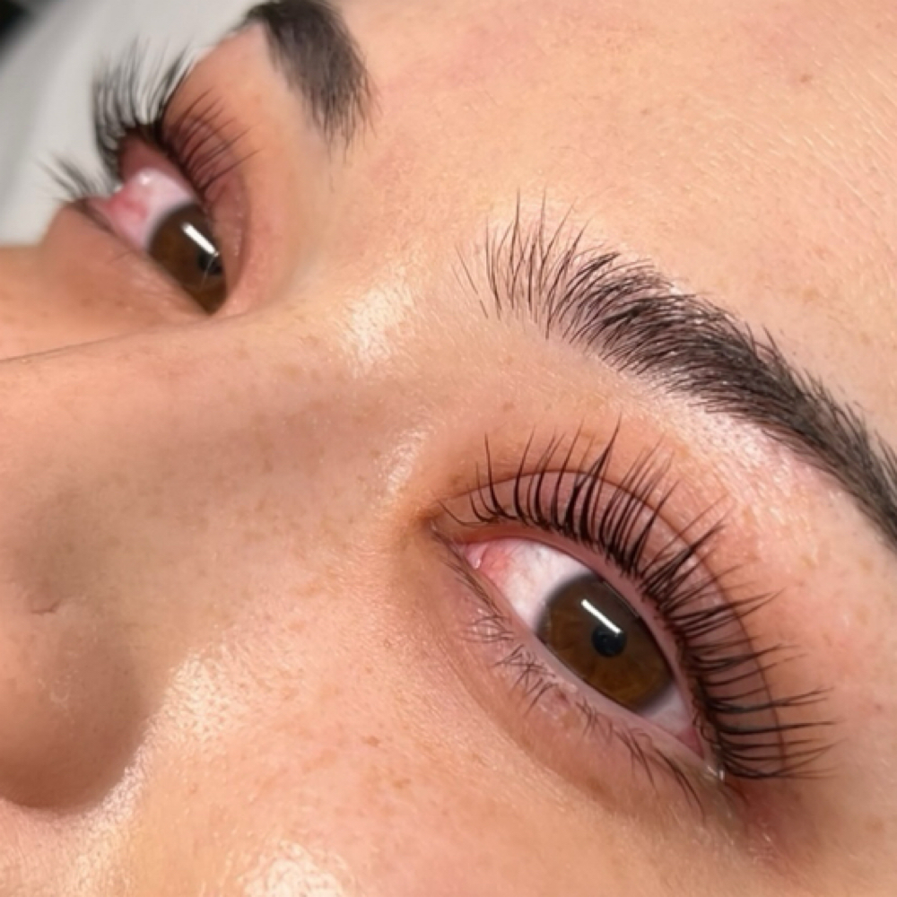 Lash Tint Add On at Martini Esthetics in Concord, CA