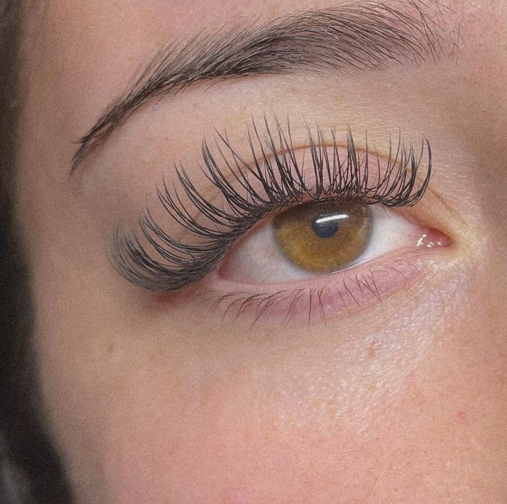 3 Week Classic Fill