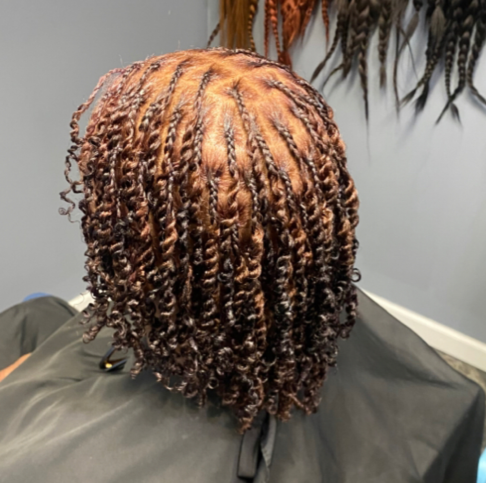 Natural 2-Strand Twist at Infinite Styles LLC in Augusta, GA