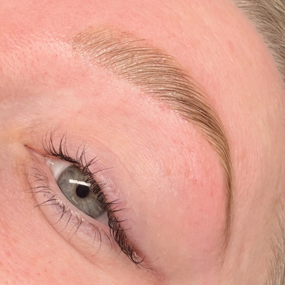 Brow Wax + Tint at Foxford Lash in Peoria, AZ