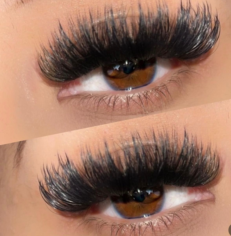Mega Volume Lash Extension
