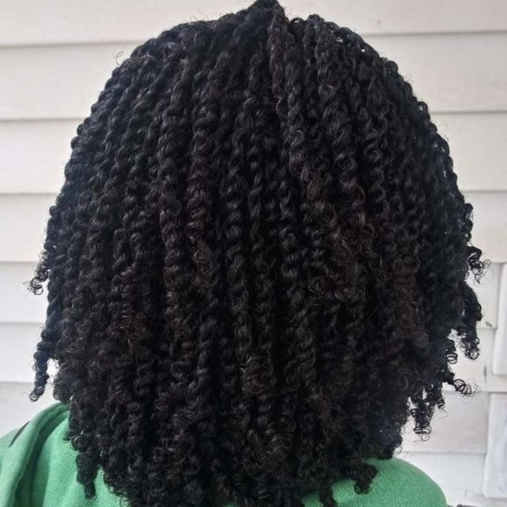 Two Strand Twist at Billion Hairs Salon in Kansas City, KS