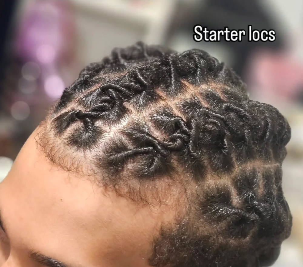 Starter Locs Whole Head