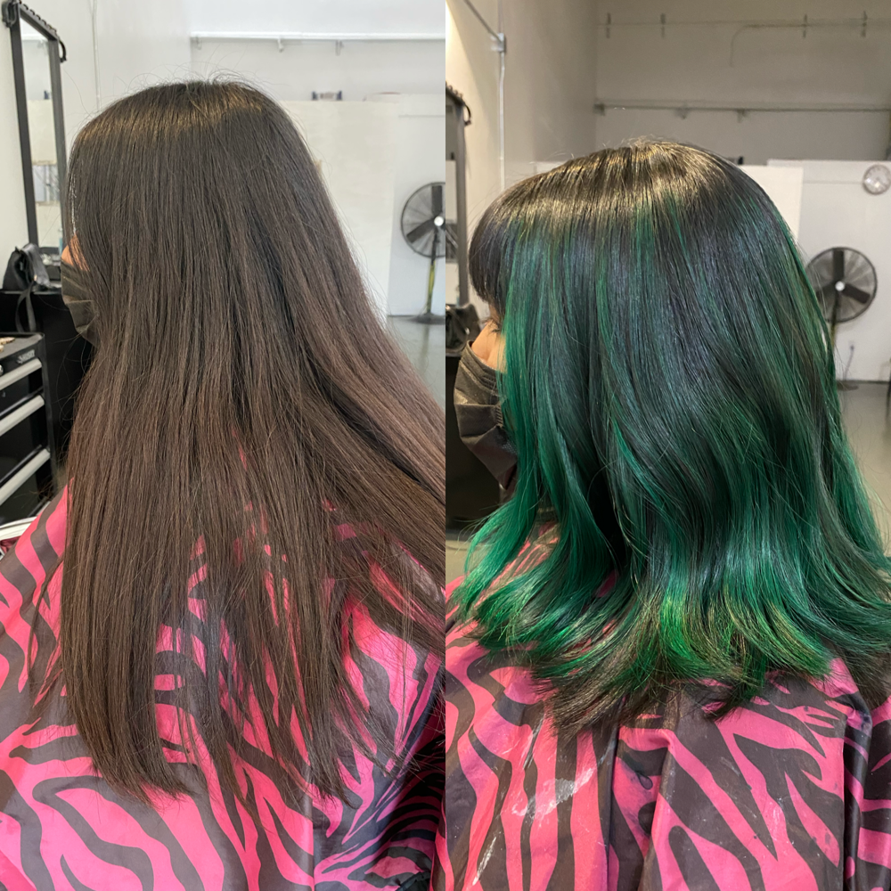 Balayage | Ombrè + Creative Color