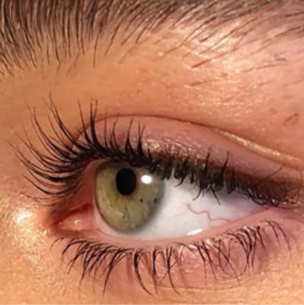 Lash Tint at AR Brow Studio in Spokane, WA
