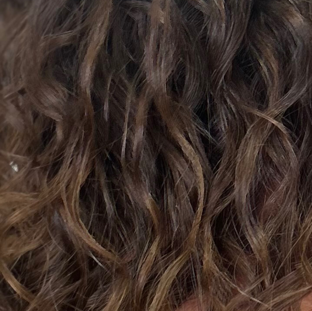 Full Curly Cut at Grace Sarasota Hair in Sarasota, FL