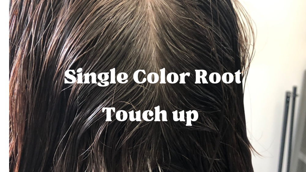 Single Color Root Touch Up