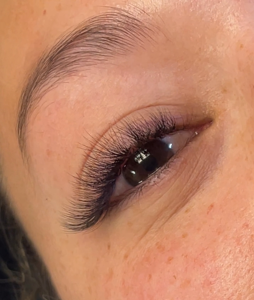 Volume Lashes
