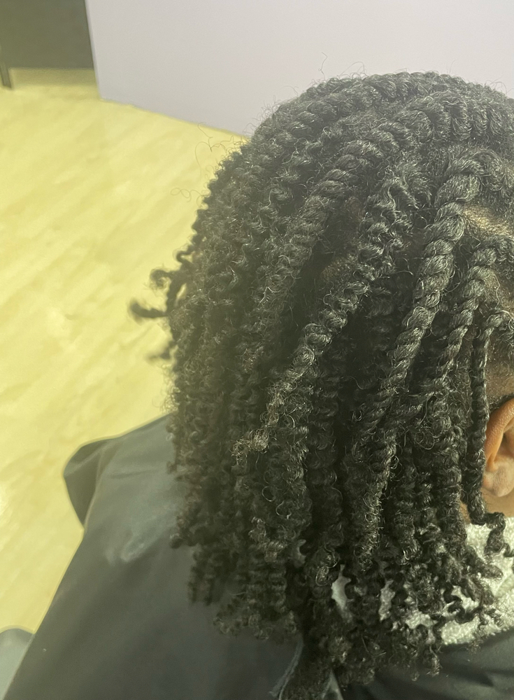 Two Strand Twist