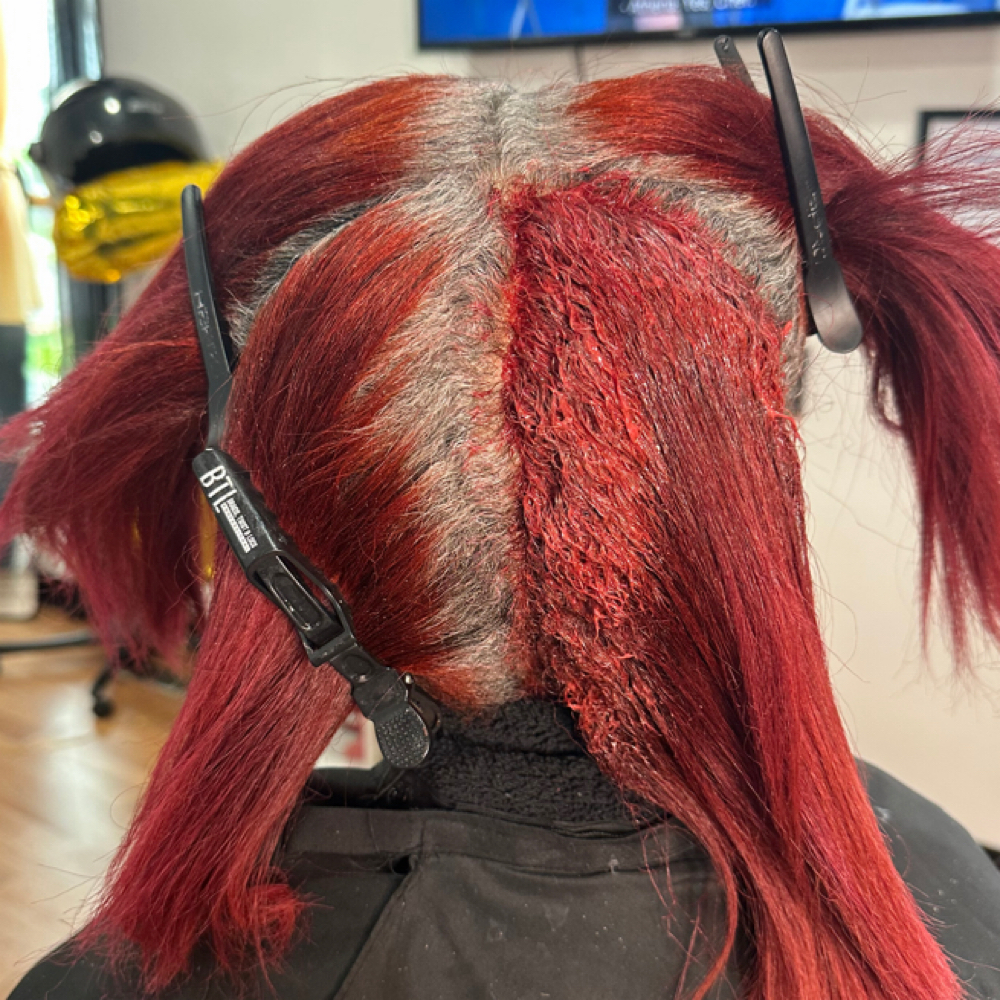 Color Touch-up at Paradisestylez in Southfield, MI