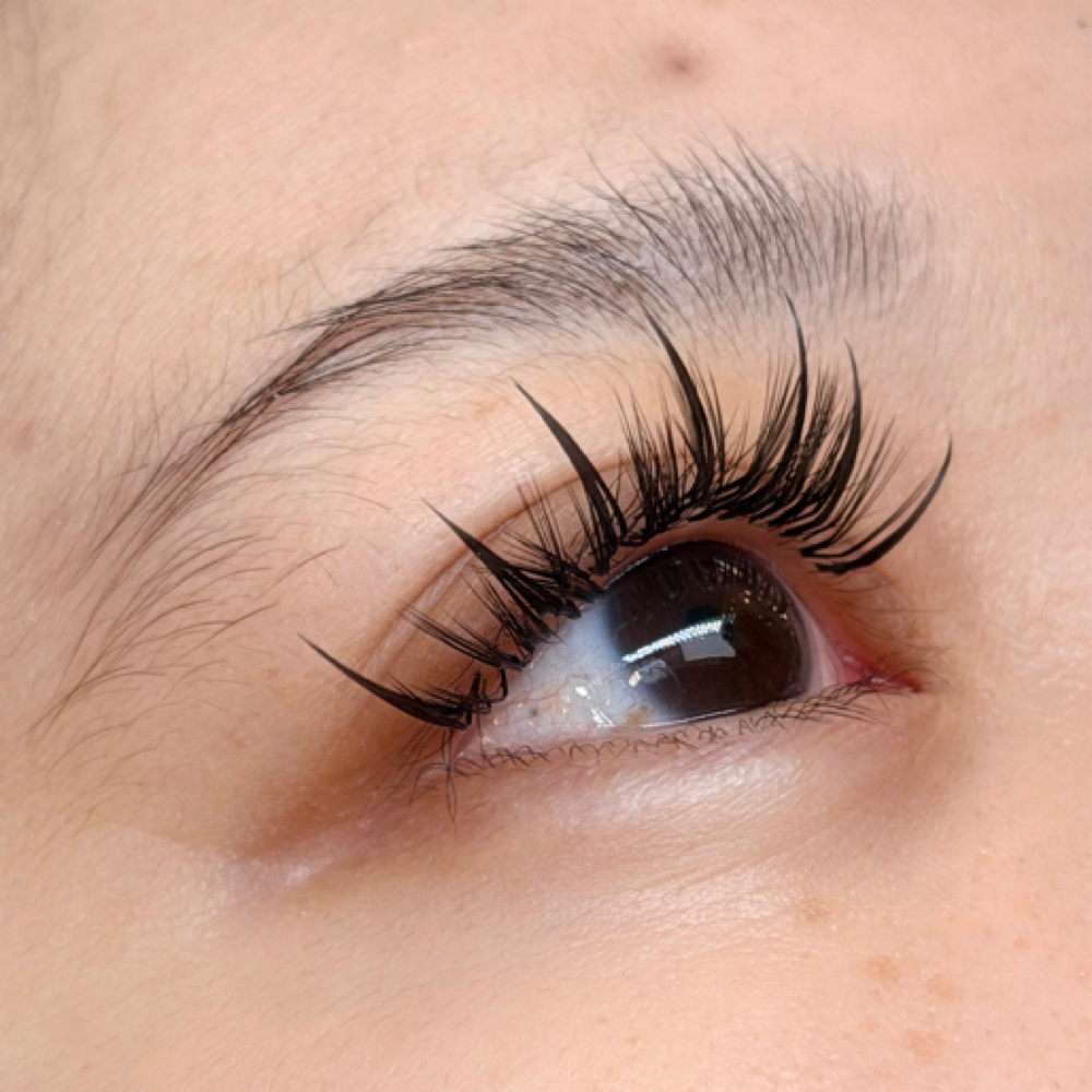 BOTTOM LASHES w/o a new set at KAMIE BEAUTY EYEBROWS & LASHES in santa clara, CA