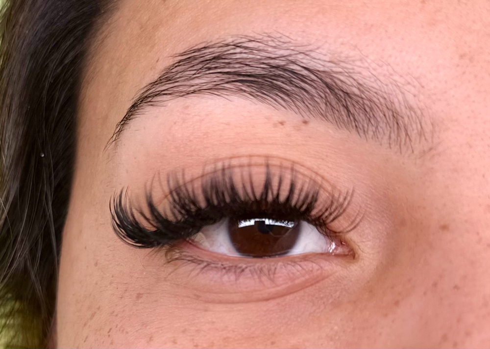Wet Set at Majestik Lashes in Gardendale, TX