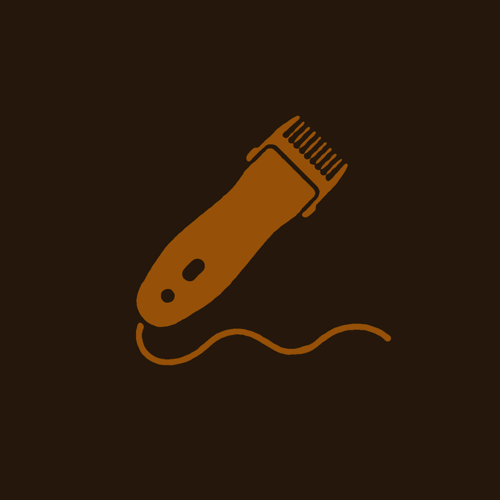 Clipper Specialty Cut at bloom by Sarah Bramlett in Noblesville, IN