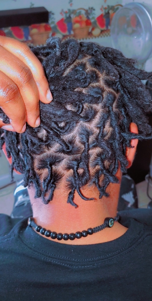 Starter Loc Retwist