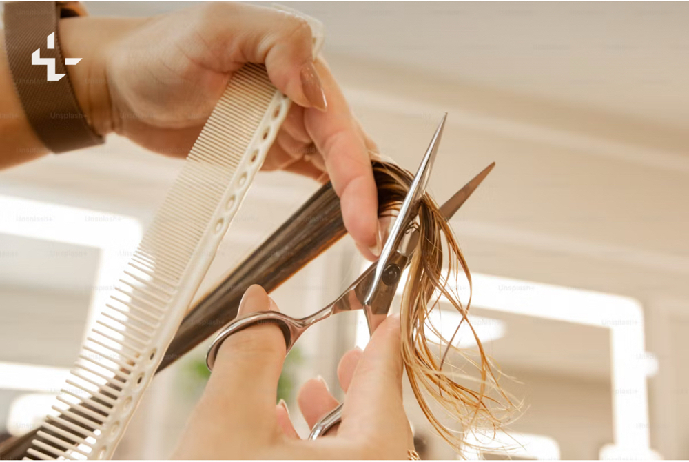 Haircut Only