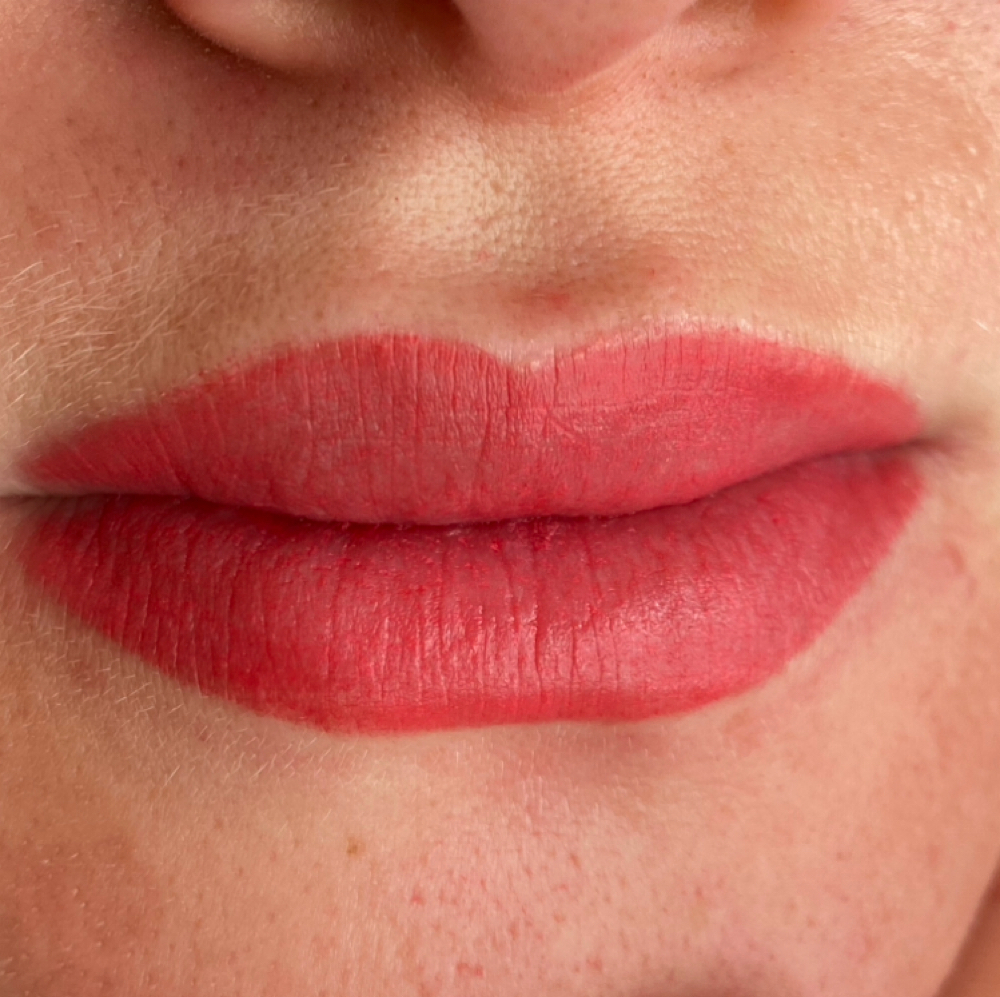 Lip Blush at Elysian  Escape in Selbyville, DE