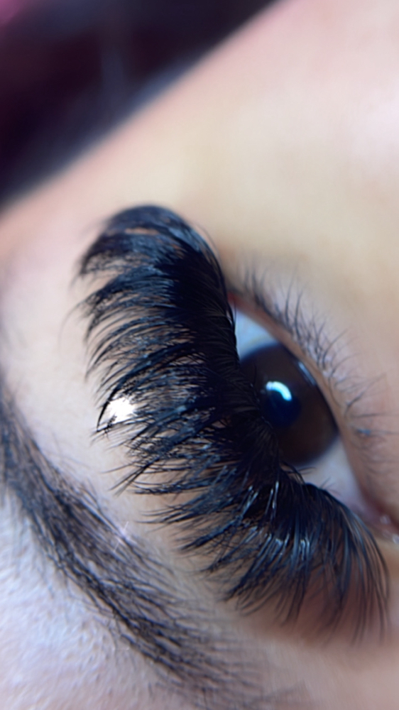 Mega Volume Lash Extentions at Dolled Up in Los Angeles, CA
