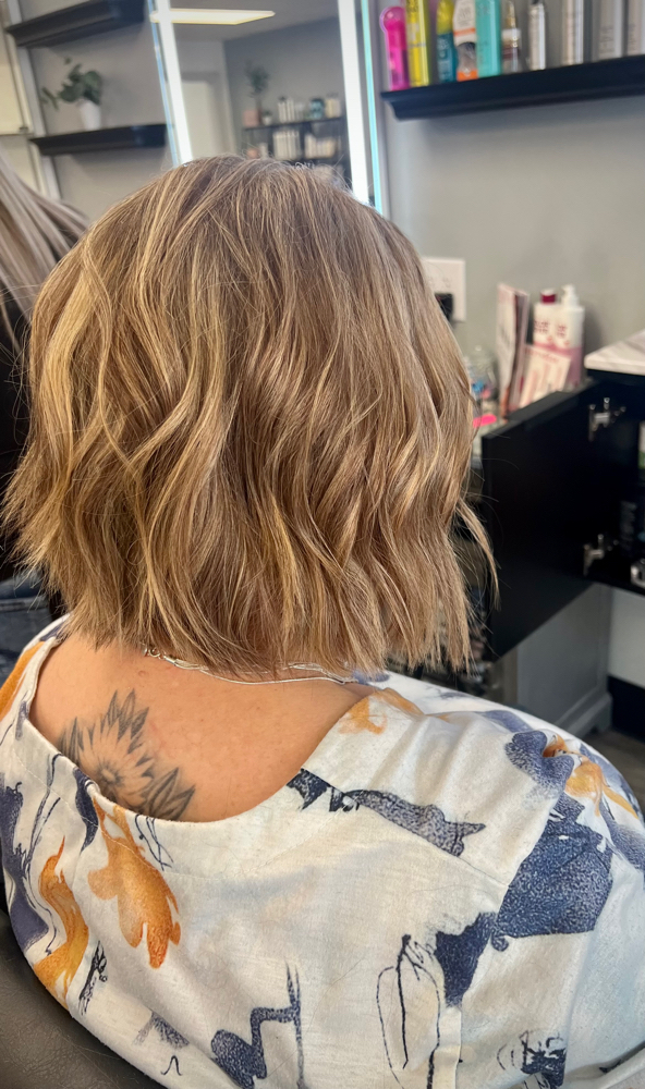 Shampoo/Cut/Style