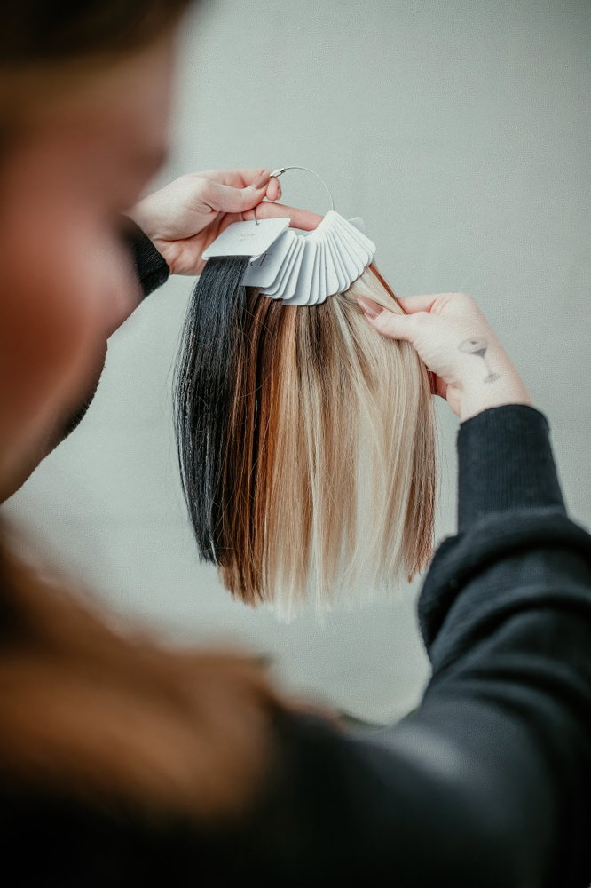 Hair Extension Consultation