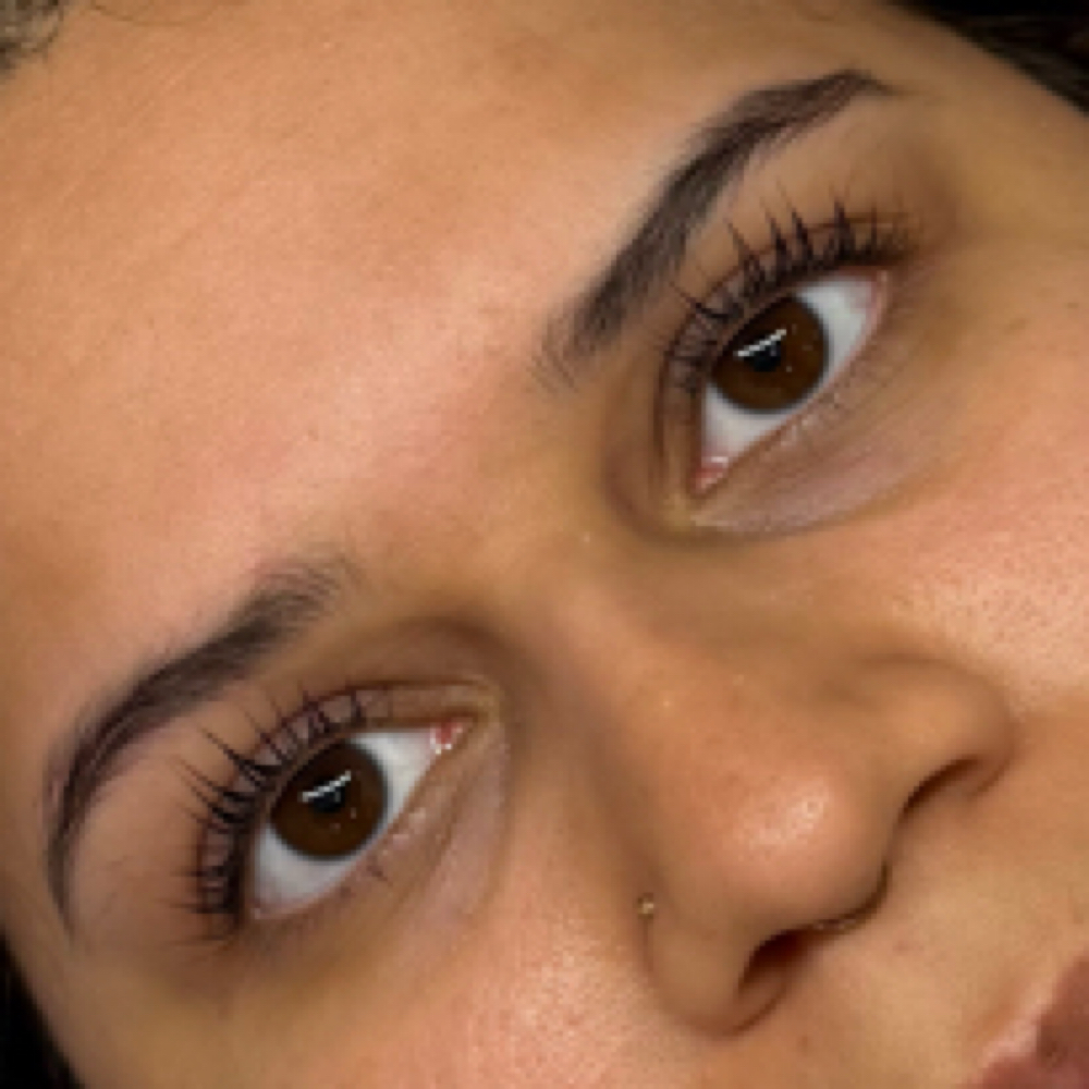 Korean Lash Lift at The Wax & Lash Moughal in Scottsdale, AZ