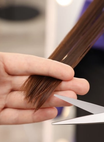 Haircuts For All