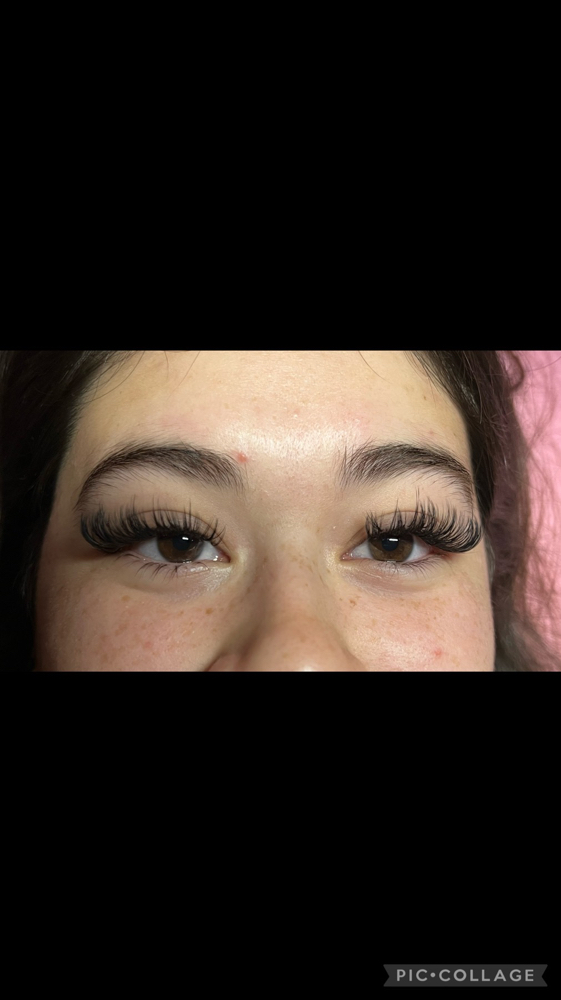 WET LASHES