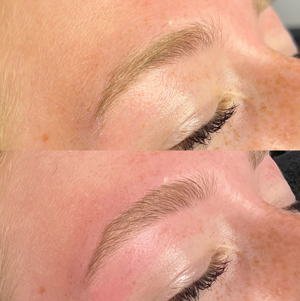 Eyebrow Wax Shape & Tint