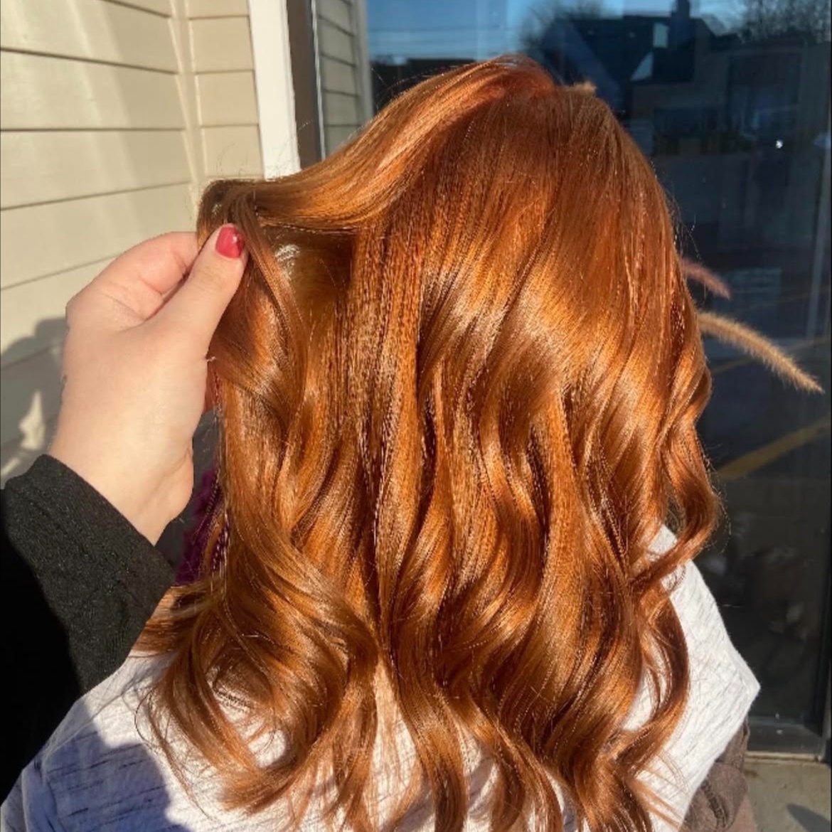 All Over Color at lexisluxurybeauty in Toledo, OH