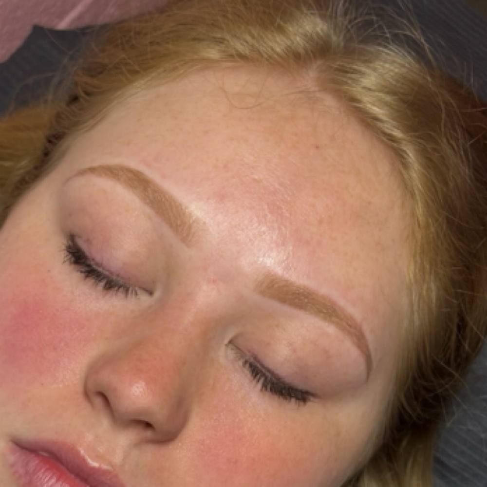 Microshading Touch Up 12 Weeks+ at Shaded By Chante in Decatur, IL