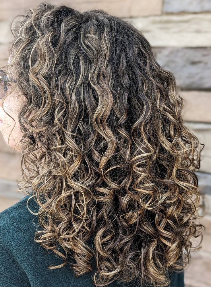 Partial Highlight/Balayage