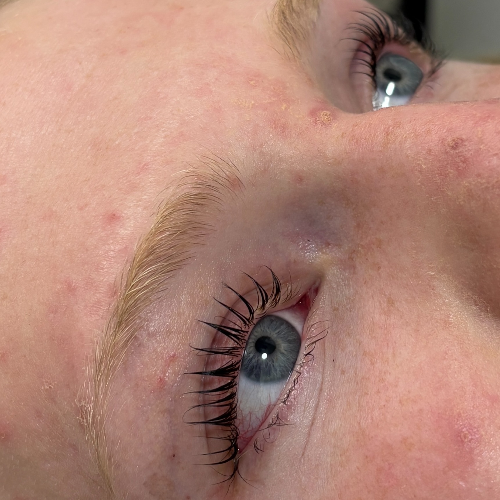 Korean Lash Lift & Tint at The Rose View Studio in Melbourne, FL