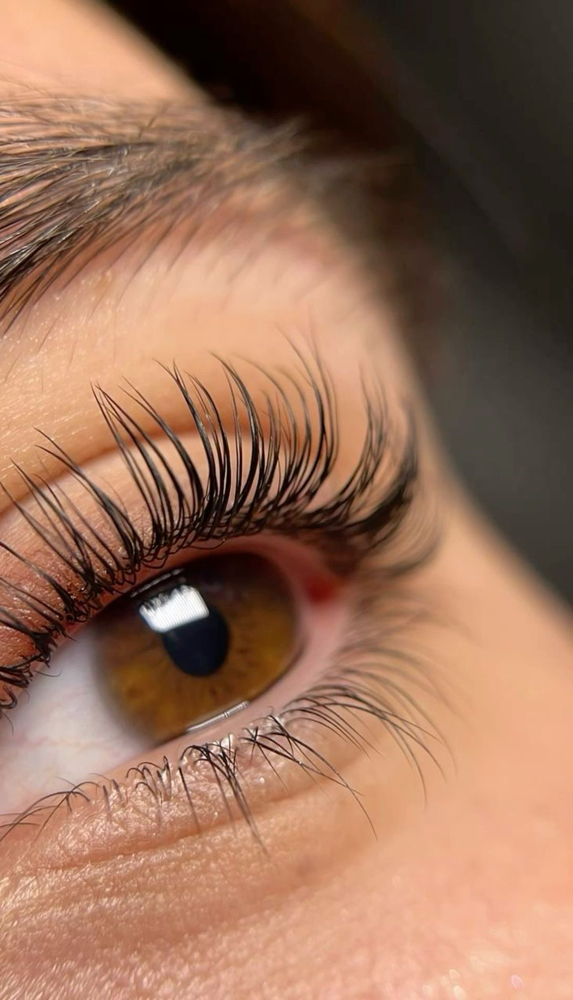 Lash Lift + Tint