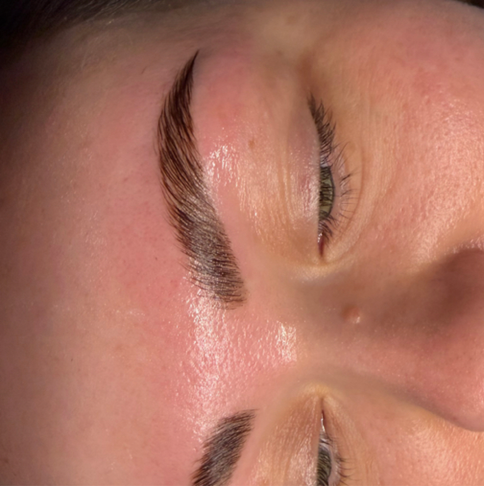 Brow Reset at The Hummingbird in Thief River Falls, MN