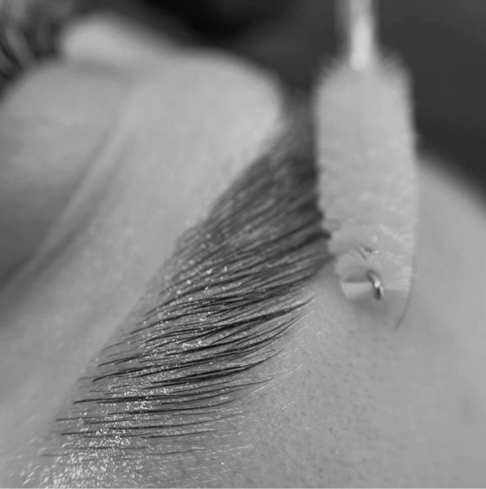 Brow Reset at The Hummingbird in Thief River Falls, MN