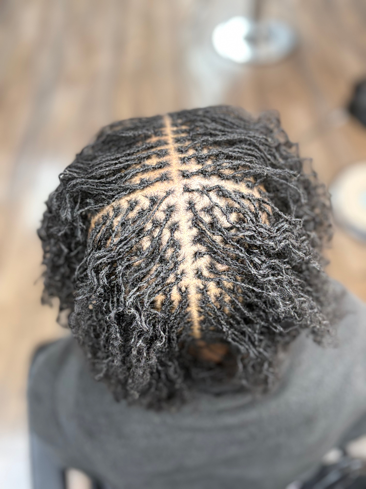 Sisterlocks™️ Establishment at Divine Locs Designs Llc in Miami Gardens, FL