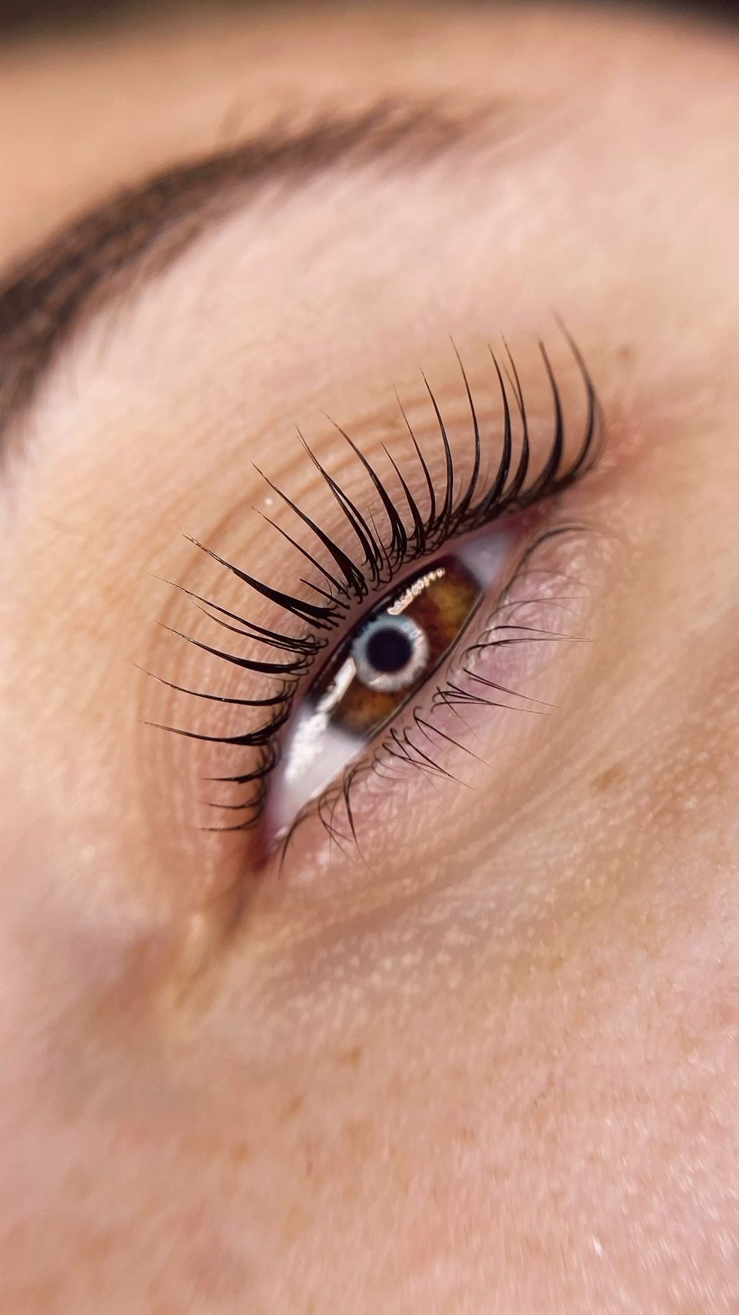 Combo Lash Lift + Tint