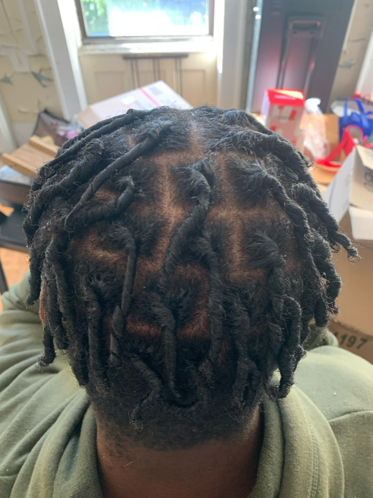 Starter Locs/ Loc Coils/double Twis