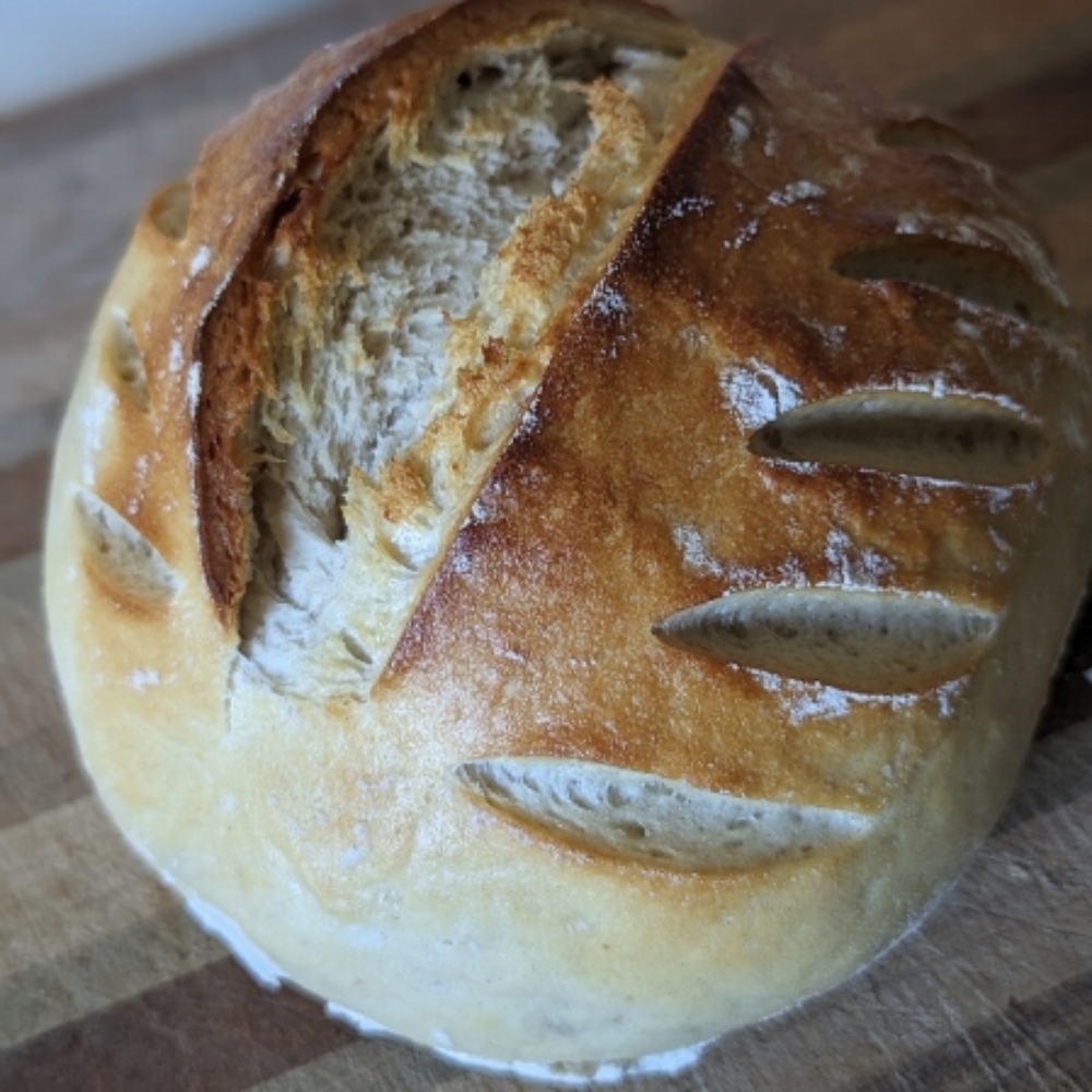 Fresh Handmade Bread at Juniper Brooks Farm
