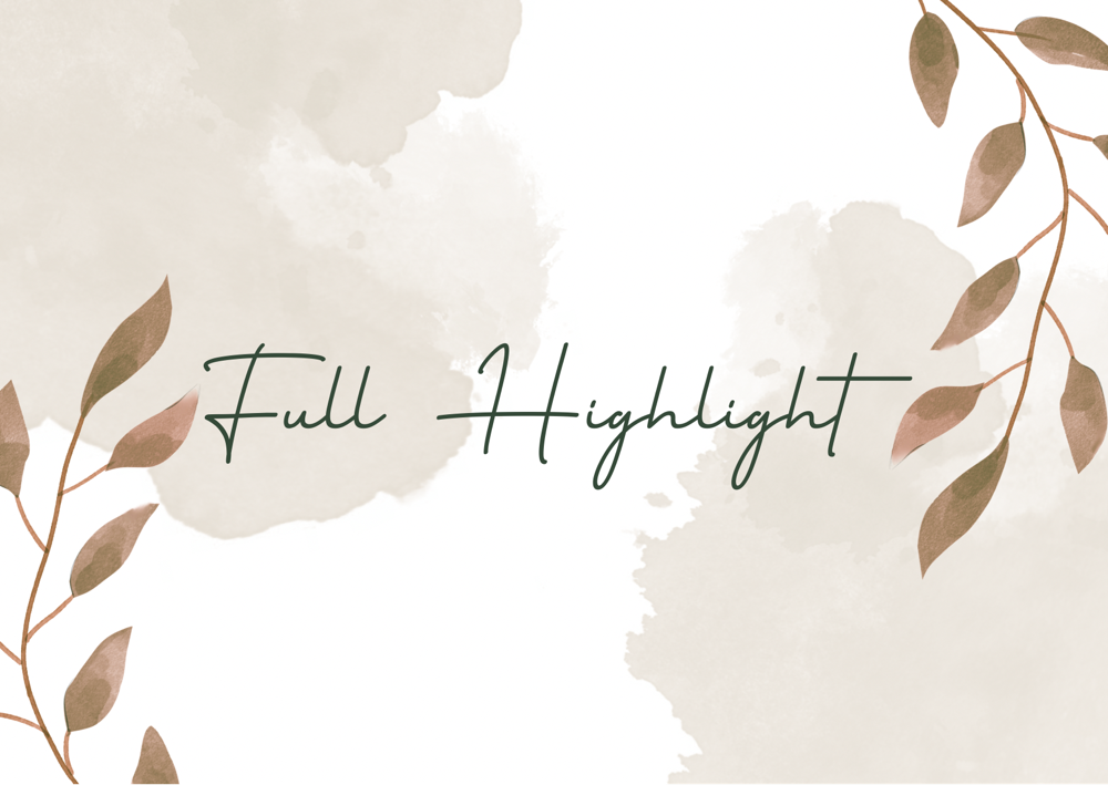 Full Highlight at Urban Barbie Salon in Nacogdoches, TX