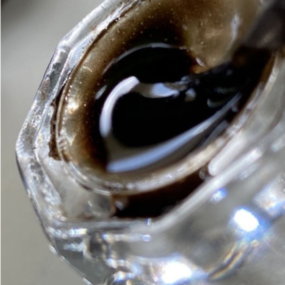 lash tint at Syd Skin Studio | Pgh Facial+Lash/Brow Bar in Gibsonia, PA