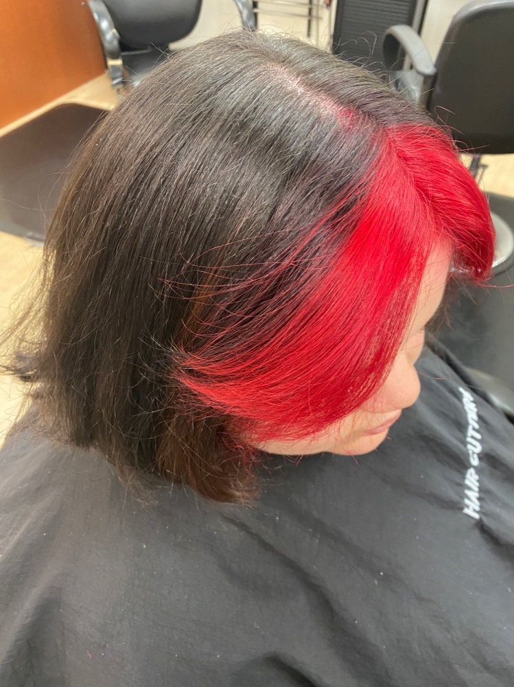 Accent Highlight at Amber Leigh’s Hair Studio in Levittown, PA