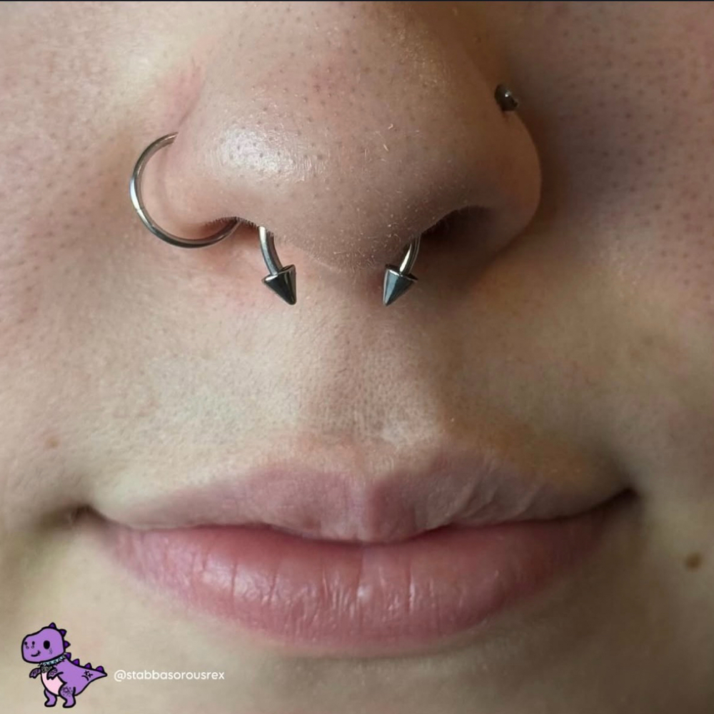 Septum at Vita Aurelia Piercings in Temecula, CA