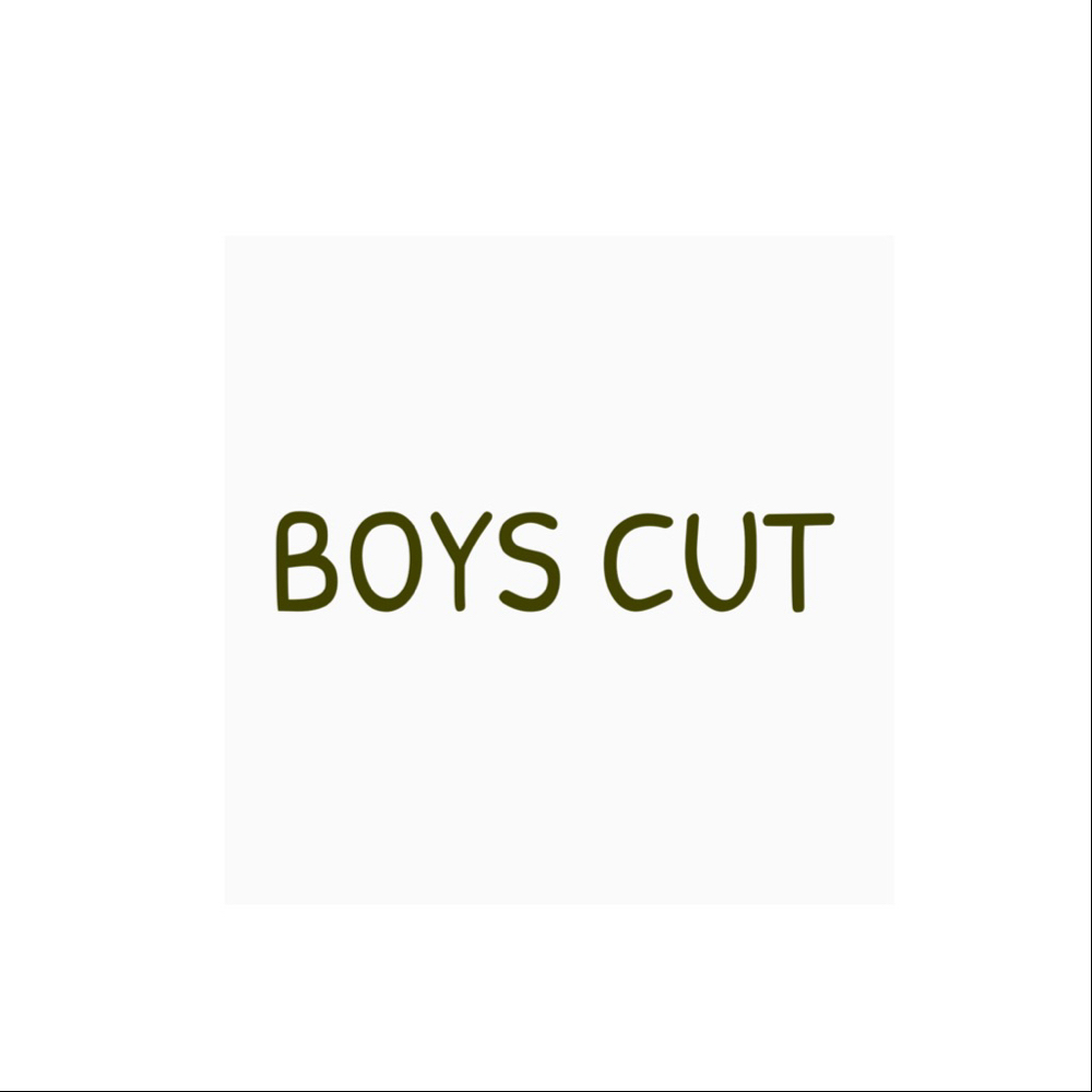 Boys Cut