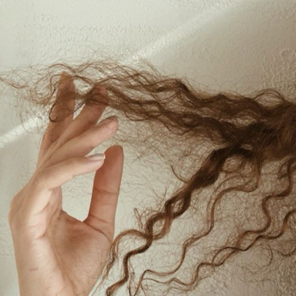 Dry Curly Cut at SK Transformations in Tacoma, WA