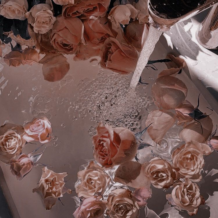 1 Week Mega Fill ♡ at Lash A Baddie 🧸 in Denver, CO