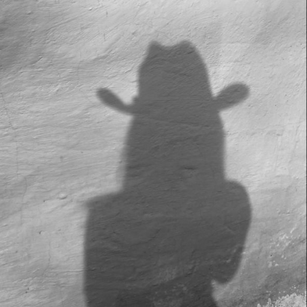 extension move up-per row at Desert Blonde Suite in Chandler, AZ