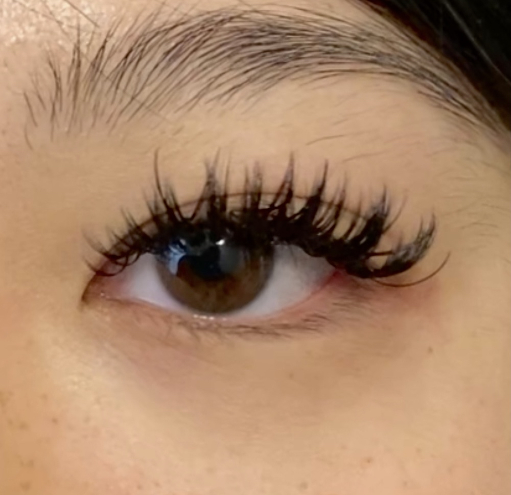 Wet Lash Full Set