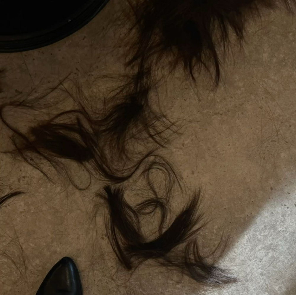 short BASIC WOMENS CUT at x.hairbymary in Franklin, IN