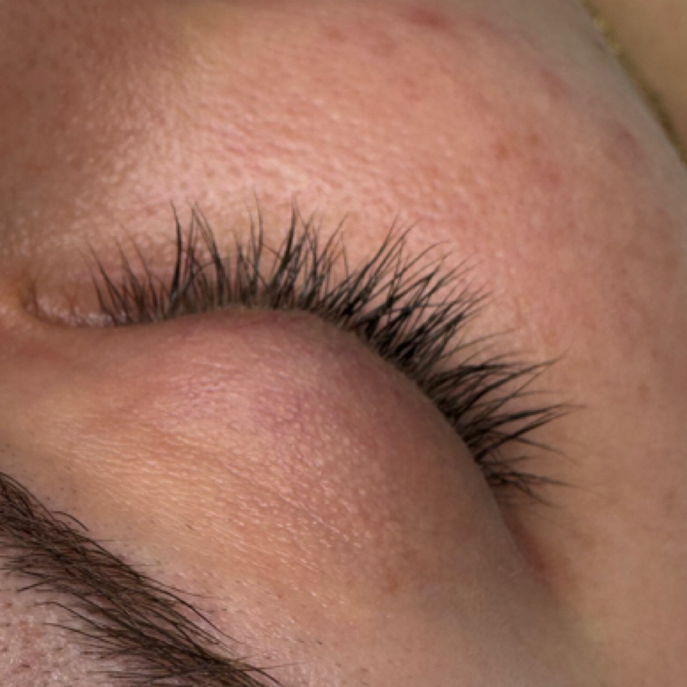 Lash Tint at The Wax & Lash Moughal in Scottsdale, AZ